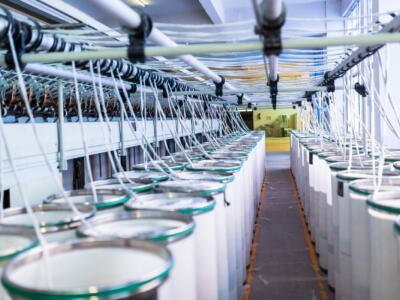 Spinmills Deutschland: Top Casino-Spielautomaten mit attraktiven